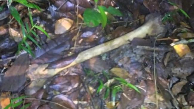 inbound6644169956219640102